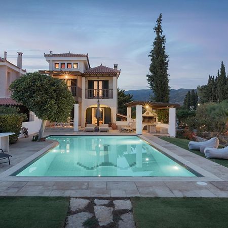 Villa Nefeli Thermiszía Kültér fotó